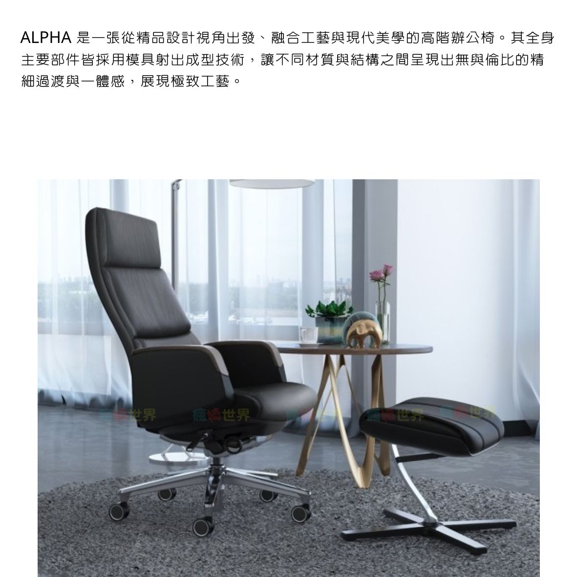 ALPHA 阿法人體工學皮革主管椅 | 辦公椅 | 主管皮椅 | 高級主管椅:圖片 3